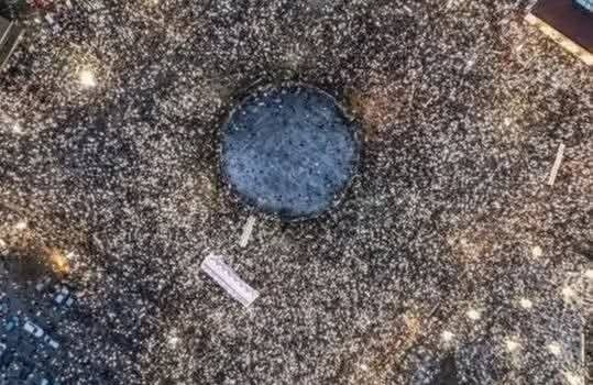 Studenti, omladino, dalje morate sami