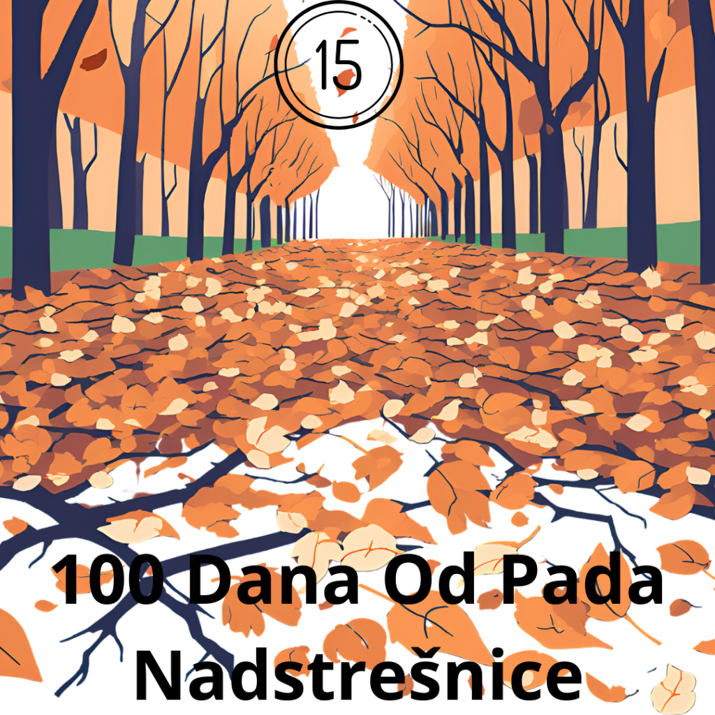 100 Dana Od Pada Nadstrešnice